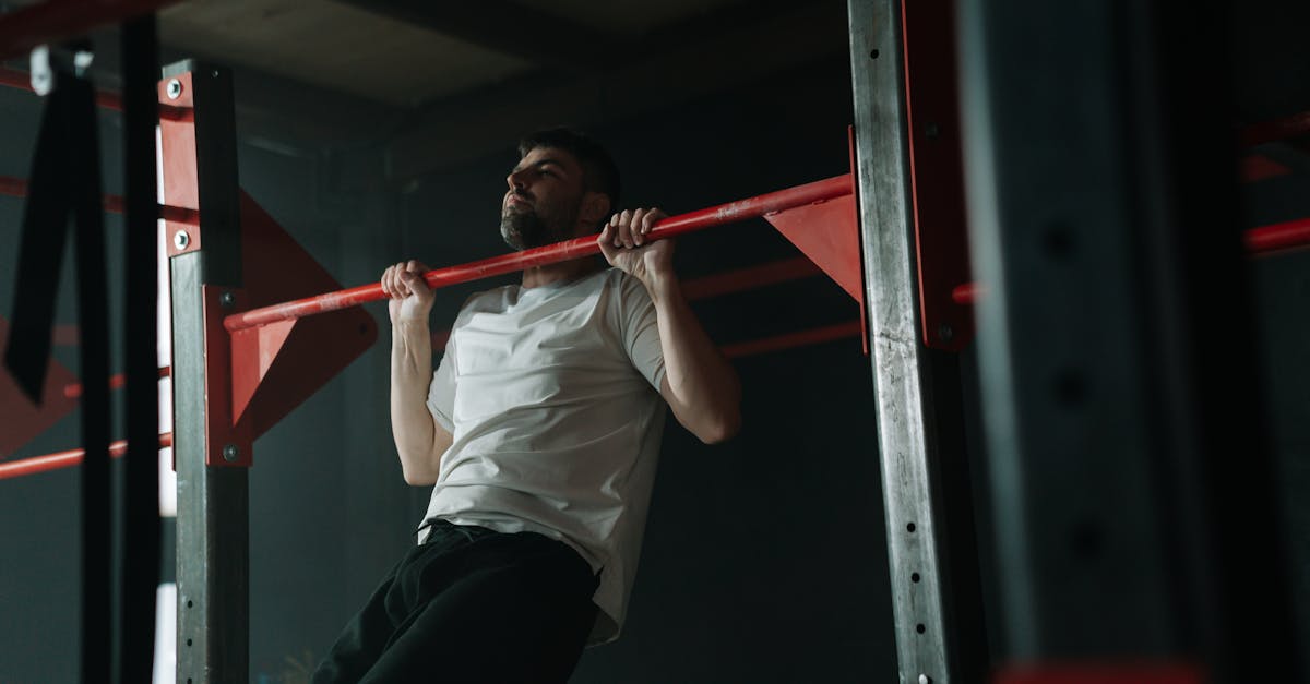 Quollgym Fitness Club collection